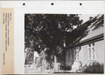 Ewidencja parkowa, skan nr 53