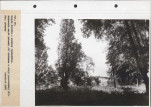 Ewidencja parkowa, skan nr 63
