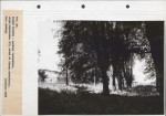 Ewidencja parkowa, skan nr 64