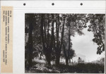 Ewidencja parkowa, skan nr 65