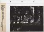 Ewidencja parkowa, skan nr 67
