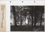 Ewidencja parkowa, skan nr 70