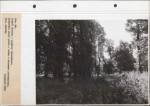 Ewidencja parkowa, skan nr 71