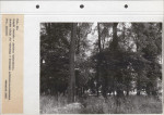 Ewidencja parkowa, skan nr 73