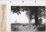 Ewidencja parkowa, skan nr 74