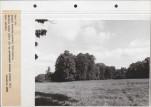Ewidencja parkowa, skan nr 84