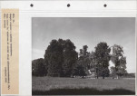 Ewidencja parkowa, skan nr 86