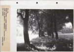 Ewidencja parkowa, skan nr 88