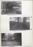 EP - Ewidencja parkowa, skan nr 33