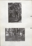 EP - Ewidencja parkowa, skan nr 36