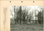 Ewidencja parkowa, skan nr 58