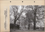 Ewidencja parkowa, skan nr 57