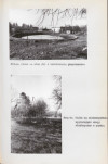 Ewidencja parkowa, skan nr 31