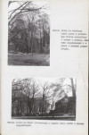 EP - Ewidencja parkowa, skan nr 40