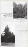 EP - Ewidencja parkowa, skan nr 31