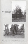 EP - Ewidencja parkowa, skan nr 31