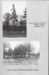 EP - Ewidencja parkowa, skan nr 32