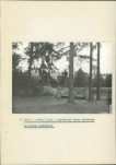 Ewidencja parkowa, skan nr 26