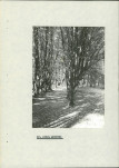 Ewidencja parkowa, skan nr 29