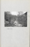 Ewidencja parkowa, skan nr 42