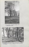 Ewidencja parkowa, skan nr 56