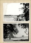 Ewidencja parkowa, skan nr 29