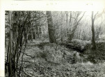 Ewidencja parkowa, skan nr 12