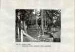 EP - Ewidencja parkowa, skan nr 12