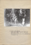 Ewidencja parkowa, skan nr 17