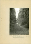 Ewidencja parkowa, skan nr 27