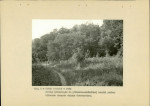 Ewidencja parkowa, skan nr 28