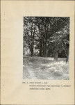 Ewidencja parkowa, skan nr 29