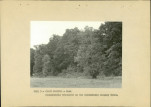 Ewidencja parkowa, skan nr 32