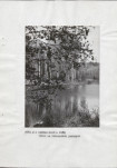 EP - Ewidencja parkowa, skan nr 14