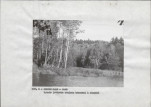EP - Ewidencja parkowa, skan nr 15