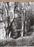 EP - Ewidencja parkowa, skan nr 30
