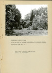 EP - Ewidencja parkowa, skan nr 26