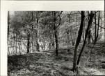 Ewidencja parkowa, skan nr 11
