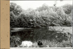 EP - Ewidencja parkowa, skan nr 48