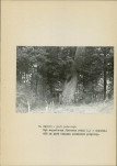 EP - Ewidencja parkowa, skan nr 18