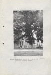 Ewidencja parkowa, skan nr 49