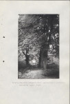 Ewidencja parkowa, skan nr 57