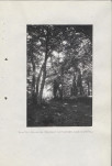 Ewidencja parkowa, skan nr 58