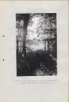 Ewidencja parkowa, skan nr 60