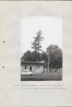 Ewidencja parkowa, skan nr 36