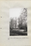 Ewidencja parkowa, skan nr 35