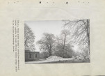 Ewidencja parkowa, skan nr 43