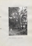 Ewidencja parkowa, skan nr 43