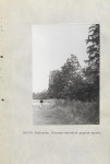 Ewidencja parkowa, skan nr 41