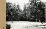 EP - Ewidencja parkowa, skan nr 22